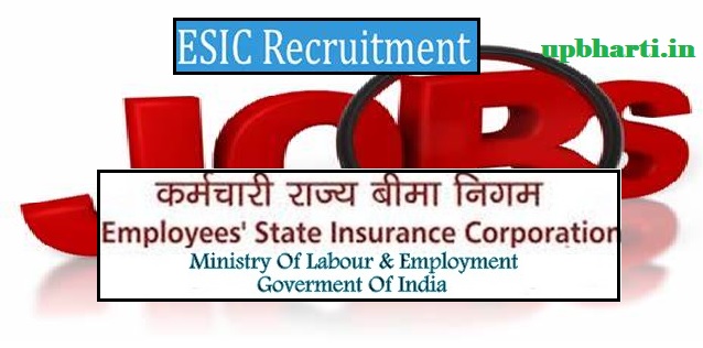 ESIC Delhi recruitment 2023