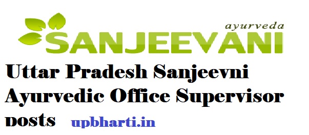 sanjeevni ayurvedic office supervisor vacancy